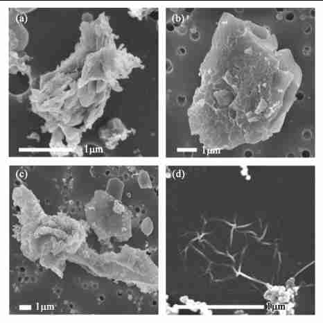 15342141099036.png 2.png